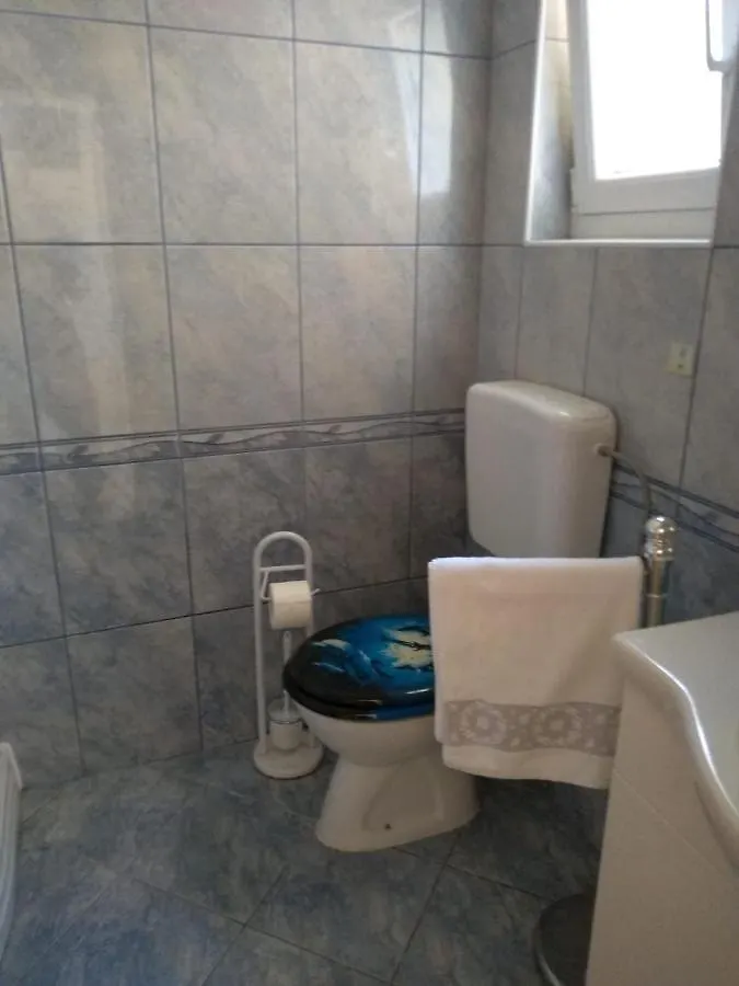 Apartment Apartmani Forgac 2 Vir